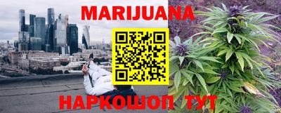 трава Партизанск