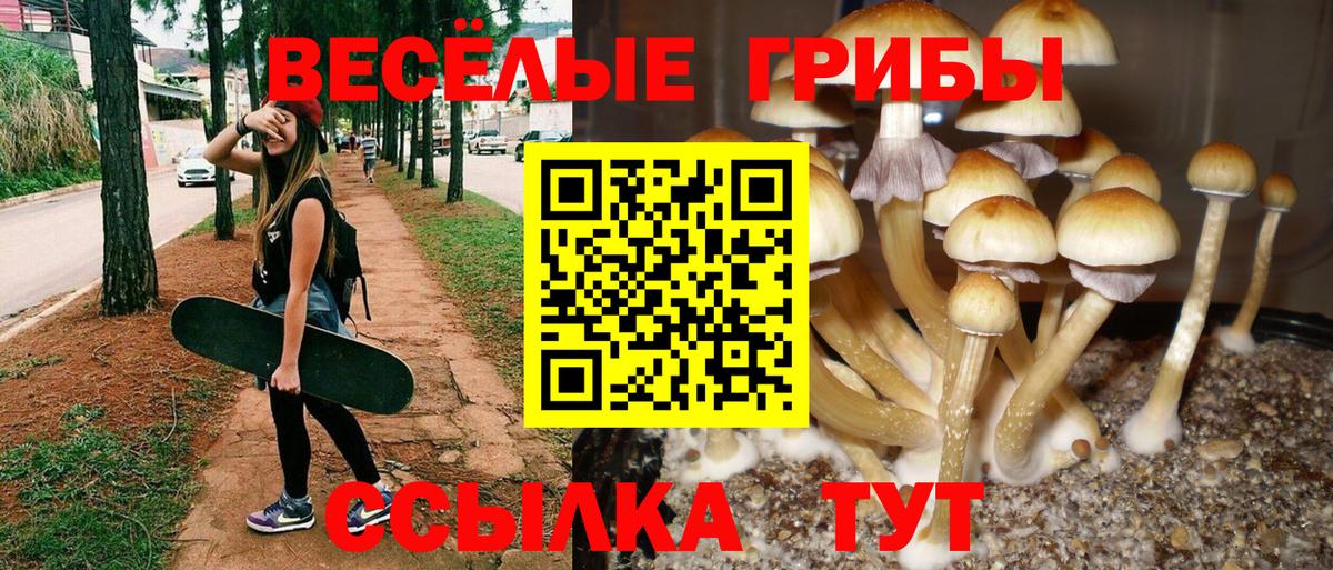 Осинники  Псилоцибиновые грибы мицелий  Галлюциногенные грибы мухоморы  Вход с VPN 